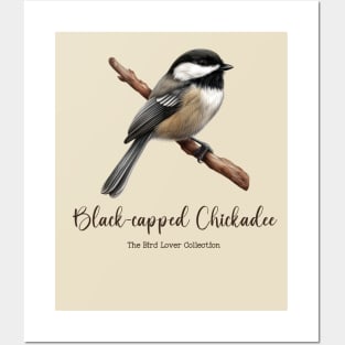 Black-capped Chickadee - The Bird Lover Collection Posters and Art